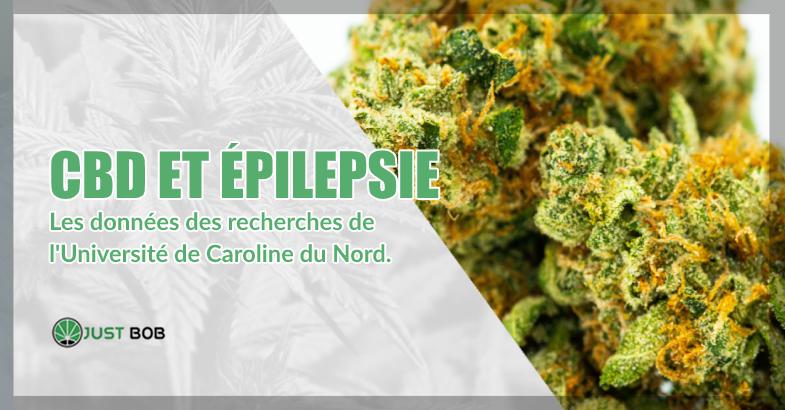 CBD et épilepsie