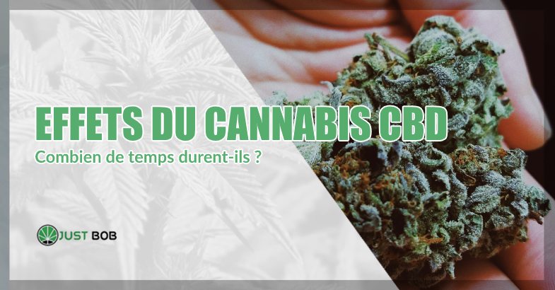 Effets du cannabis CBD