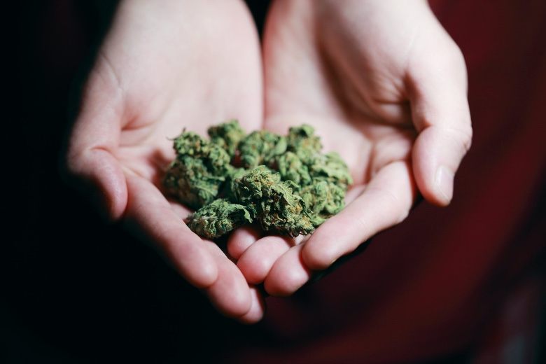 conséquences de l'interdiction de la marijuana classique et CBD