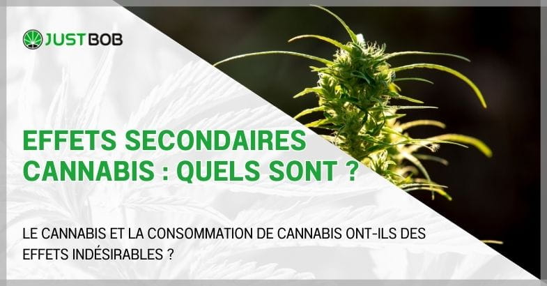 Effets secondaires cannabis : quels sont ?