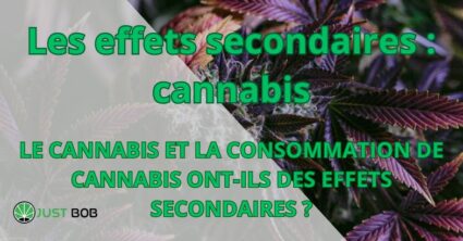 Les effets secondaires : cannabis