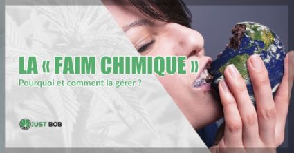 faim chimique et cannabis cbd