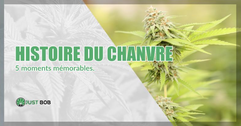 histoire du cannabis classique et canabis légal