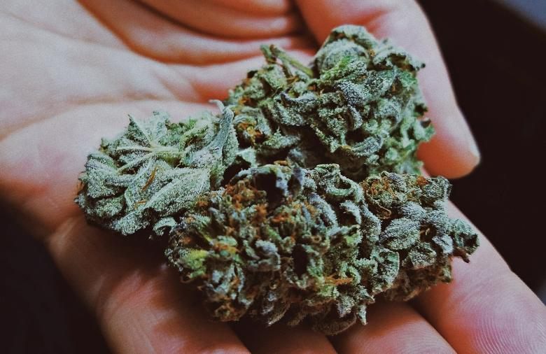 résine de cannabis CBD et classique