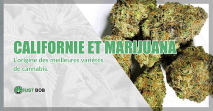 Californie et marijuana CBD