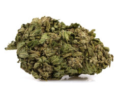 Fleurs avec cannabidiol de la varieté zkittles cbg