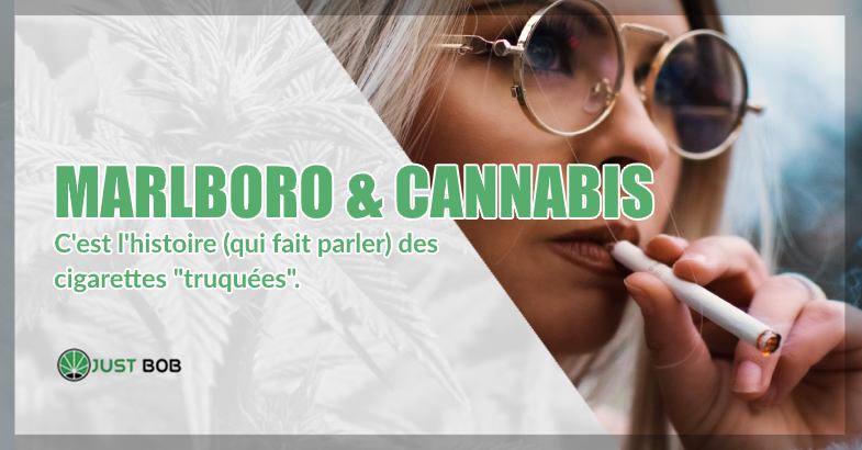 Marlboro & Cannabis histoire