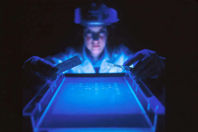 Scientifique en laboratoire avec visiere de protection examinant un gel d'electrophorese sous lumiere UV bleue dans piece sombre