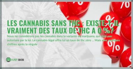 Les cannabis sans THC : existe-t-il vraiment des taux de THC a 0 %?