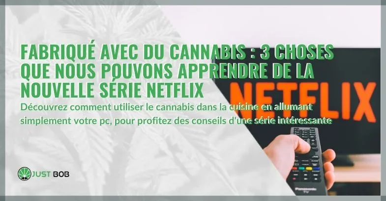 fabrique-avec-cannabis-3-choses-nous-pouvons-apprendre-nouvelle-serie-netflix-cop Fabriqué avec du cannabis