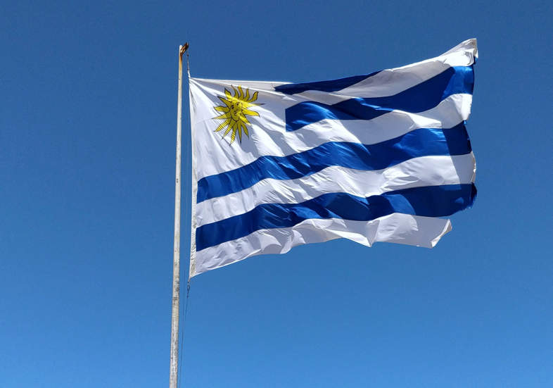 L'Uruguay, un pays où le cannabis est une ressource