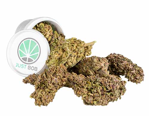 Purple GG # 4 est la meilleure herbe légale de 2020