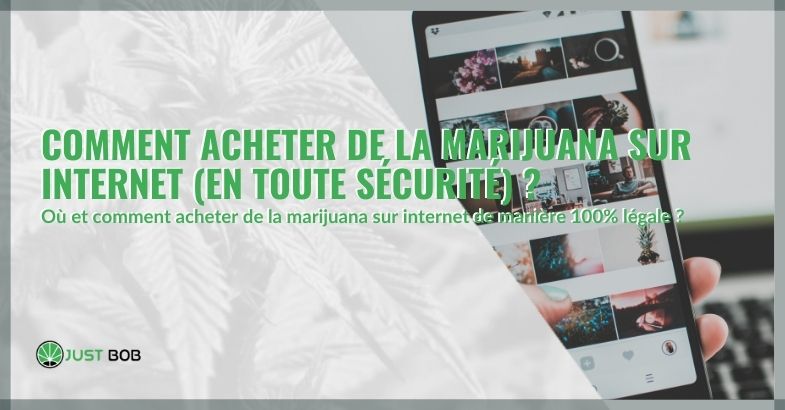 Comment acheter de la marijuana sur Internet