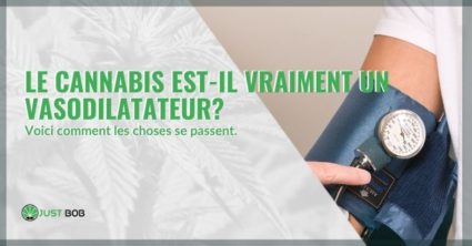 Le cannabis a-t-il vraiment des effets vasodilatateurs?