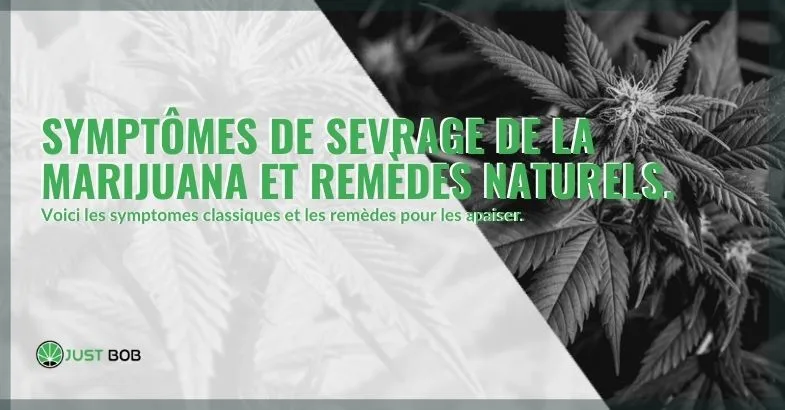 marijuana-symptômes-de-sevrage-remèdes naturels Remèdes naturels et symptômes du sevrage de la marijuana