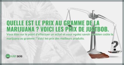 Quelle est le prix au gramme de la marijuana ? Voici les prix de Justbob.