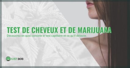 Le test capillaire à la marijuana, comment ça marche?