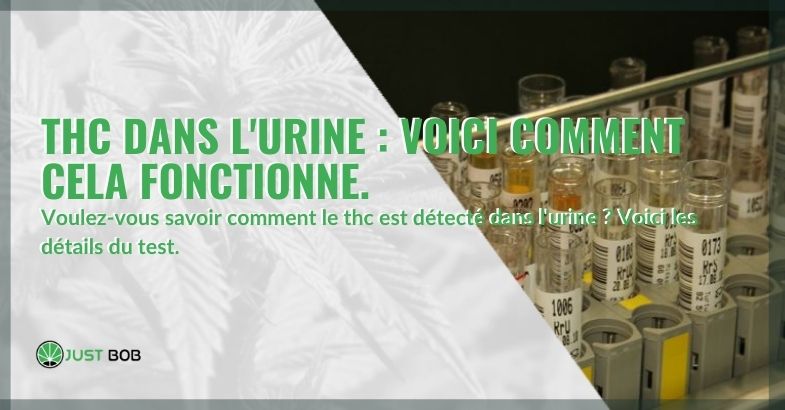 À propos du THC dans l'urine: détection et durée