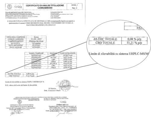 Analyse agrandie du afghan gold