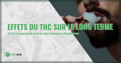 Effets du THC sur le long terme Effets du THC sur le long terme.
