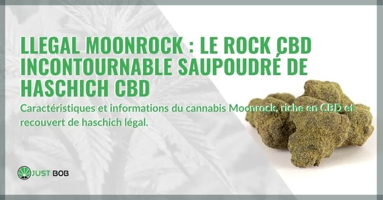 Moonrock-légale-le-cristal-CBD Moonrock légale : le cristal de CBD incontournable