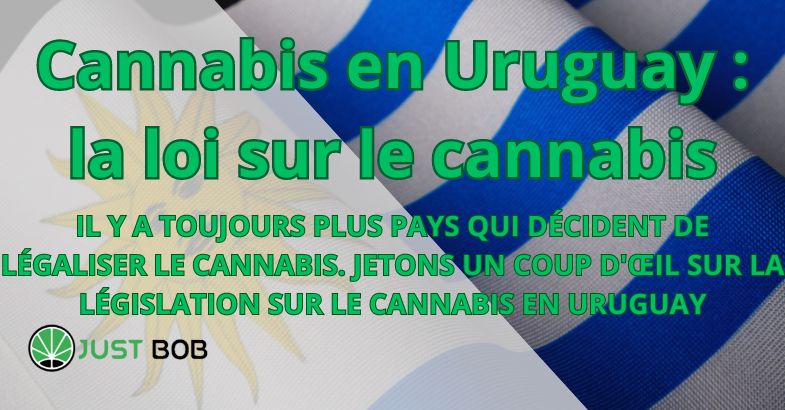 Cannabis en Uruguay : la loi sur le cannabis