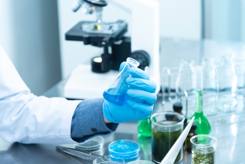 Comment le haschisch léger est fabriqué : études en laboratoire.