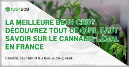 La meilleure beuh CBD? Le cannabis légal en France