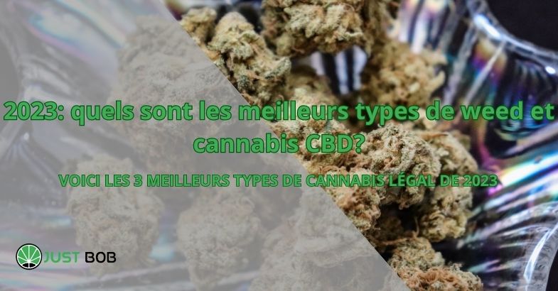 2023: quels sont les meilleurs types de weed et cannabis CBD?