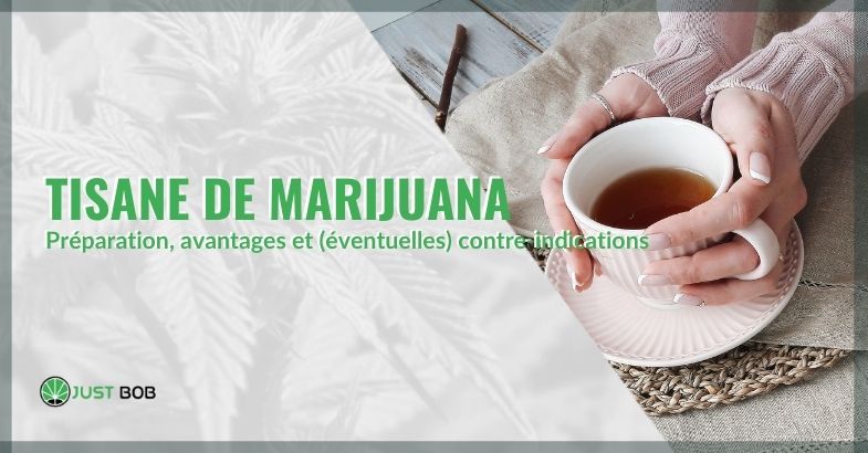 Tout savoir sur le thé de marijuana