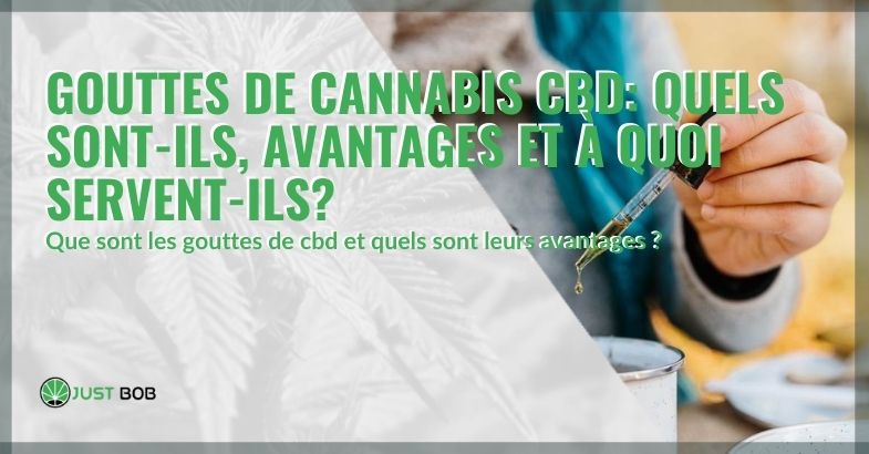 Cannabis CBD en gouttes: qu'est-ce que c'est, ses bienfaits et à quoi ça sert