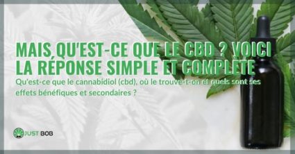 Qu'est-ce que le CBD, les effets bénéfiques et secondaires