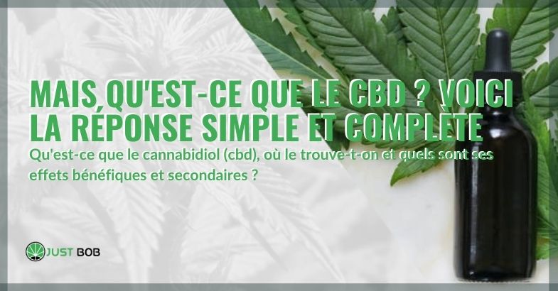 Qu'est-ce que le CBD, les effets bénéfiques et secondaires