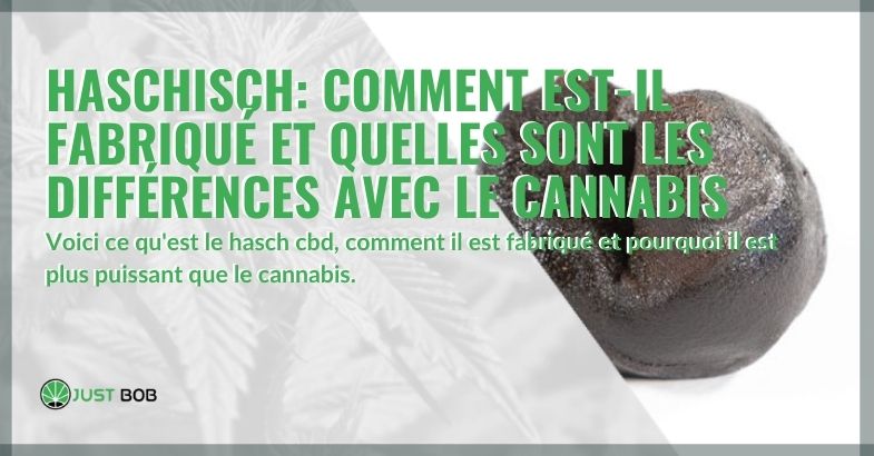 Comment le hasch est-il fabriqué et quelles sont les différences avec le cannabis?