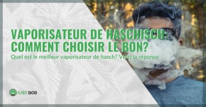 Comment choisir le bon vaporisateur de hasch.