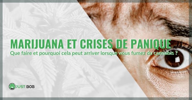 Que faire en cas d'attaques de panique liées à la marijuana?