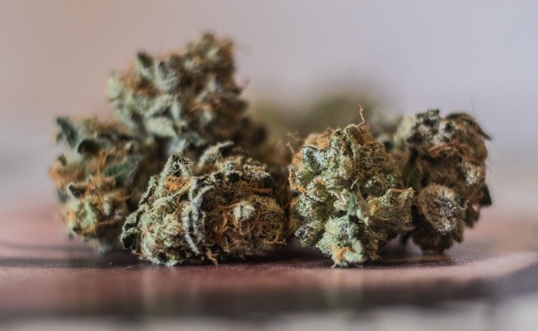 Bourgeon de marijuana: qu'est-ce que c'est? | Justbob