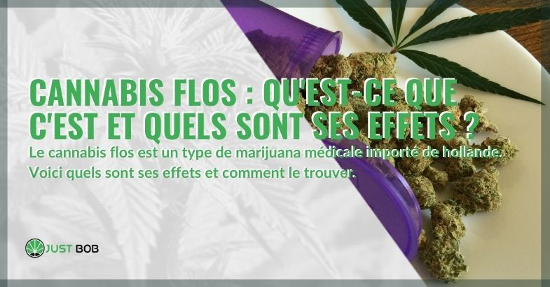 Qu'est-ce que le cannabis Flos et quels sont ses effets?