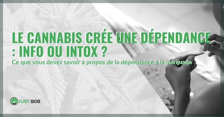 Est-ce vrai ou faux que le cannabis crée une dépendance?