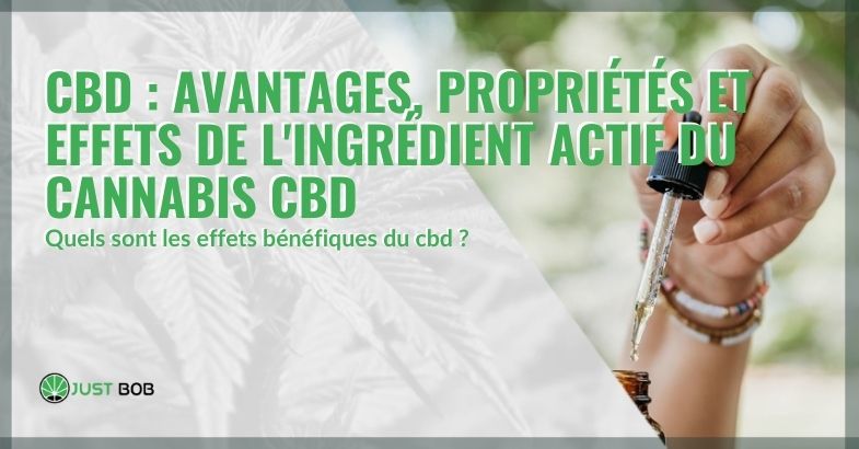 Propriétés, bienfaits et effets du CBD, l'ingrédient actif du cannabis