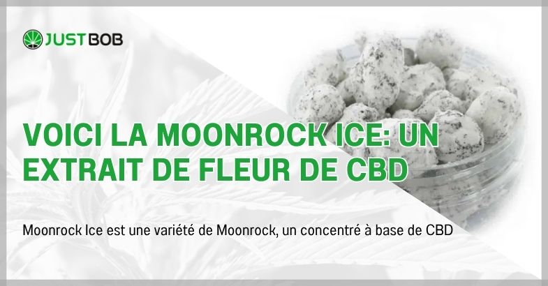 Voici la Moonrock Ice: un extrait de fleur de CBD