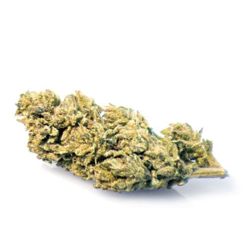 melon-kush-cbd-fleur-plante-de-cannabis