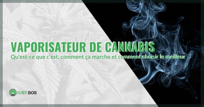 Qu'est-ce que le vaporisateur de cannabis et comment fonctionne-t-il?