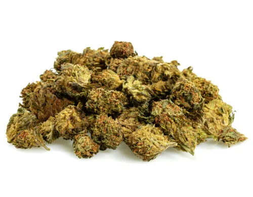 GG4 cbd boost fleurs cbd small buds