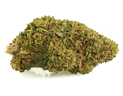 GG#4-cbd-boost-fleurs-cbd