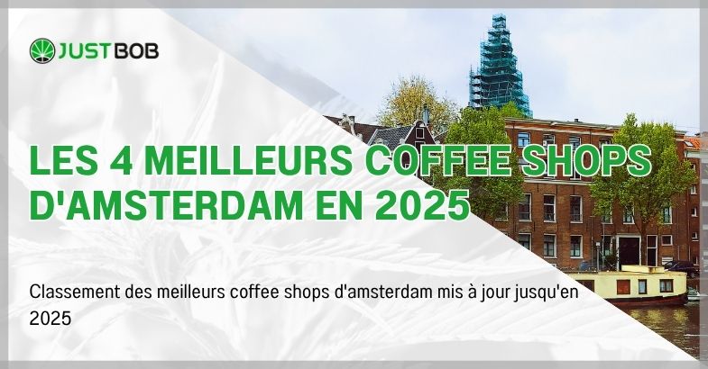 Les 4 meilleurs coffee shops d'Amsterdam en 2025