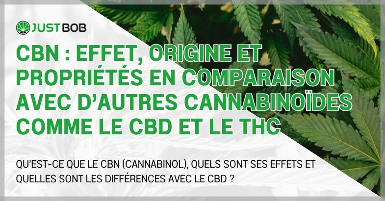 CBN : effet, origine et propriétés