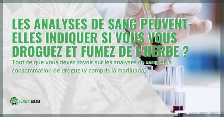 Analyse du THC : test Sanguin, Urinaire et Salivaire