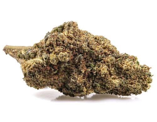 Fleurs cbd de GG#4 CBD Boost