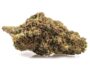 333984 Fleurs cbd de GG#4 CBD Boost